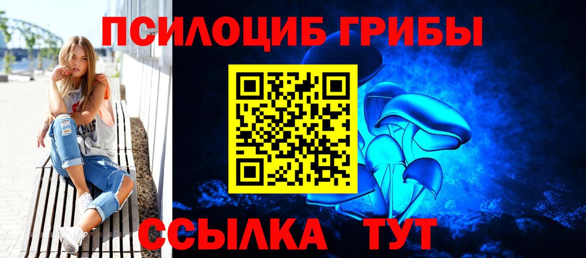 Галлюциногенные грибы Psilocybe Ленинск-Кузнецкий